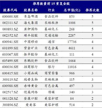 皮肤管理六月券商金股出炉：转向代价气势派头青岛啤酒等4股最热(图2)